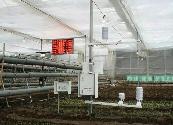 農業生態觀測站